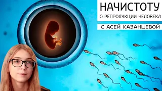 НАЧИСТОТУ о репродукции человека с Асей Казанцевой