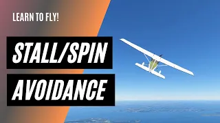 I was shocked when my CFI showed me this | Stall Spin Avoidance