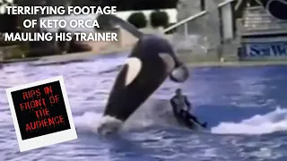 Keto Orca - The Terrifying Orca Who KILLED its Trainer Alexis Martinez