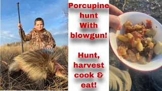 Blowgun Hunting Rabbits, and Porcupine! Hunt, clean and cook!