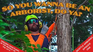 Seattle Arborist - From the ground up.