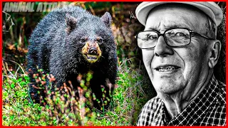 The FAMOUS Bear Attack On Gene Moe | You MUST See!!