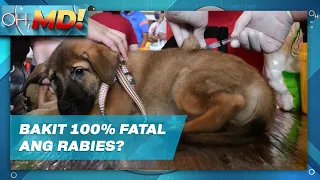 Oh, MD!: Paano maiwasang ikamatay ang rabies?