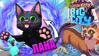 ОХОЧУСЬ НА ПТИЧЕК И ТЕЛЕФОНЫ! Little Kitty Big City