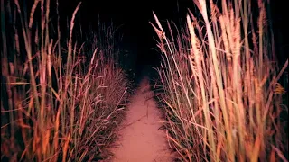 The Most Haunted Field in Gettysburg | Triangular Field