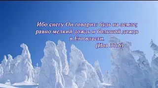 Пророцтво 20,11,22  Біблії у многих лежать на стороні...