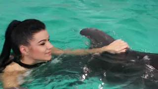 Дельфінотерапія. Плавання з дельфінами. Дельфінарій "Оскар"