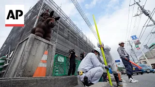 Town builds screen to block Mount Fuji view as Japan grapples with over-tourism