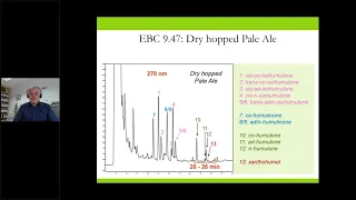 HOPPY TOPICS – How to Analyse Dry Hopped Beers? (with Dr. Martin Biendl)