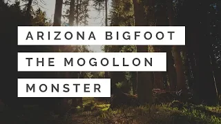 Arizona Bigfoot 🙉 The Mogollon Monster