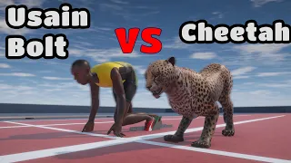 Usain Bolt VS Cheetah