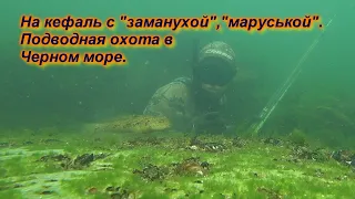 Подводная охота в Черном море на кефаль с "Заманухой", Жара, в воде кайф)))))