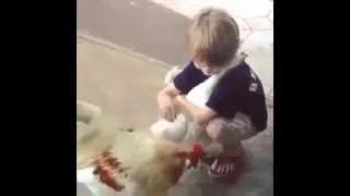 Супер мега ржачный прикол  мальчик обнимает курицу  лучшие приколы с детьми за сентябрь  2014