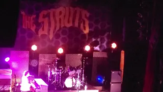 The Struts. "Don't Stop Me Now." Denver, 6-28-19.