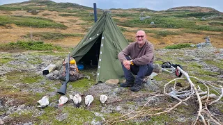 The Best 3 Solo Night Partridge Hunt In Newfoundland