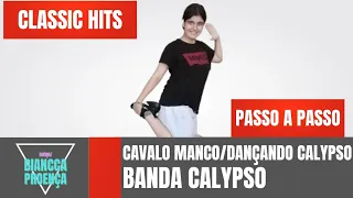 Vídeo Aula - Cavalo Manco/Dançando Calypso - Banda Calypso - Dança / Biancca Proença (Coreografia)