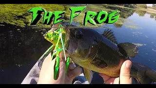 FIRST TIME catching a Largemouth Bass on a FROG