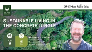 Sustainable Living in the Concrete Jungle
