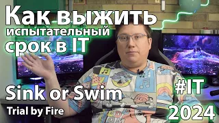 Как выжить на испытательном в IT 2024? Sink or Swim или Trial by Fire