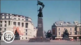Владивосток. Приходят в город корабли... (1976)