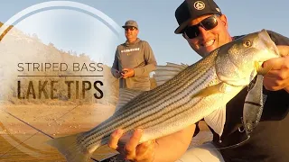 Striped bass tips for Nor-Cal lakes!