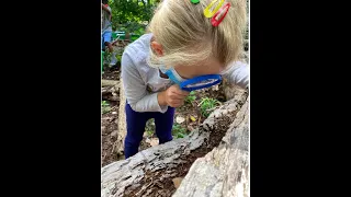 A Look Inside Kids Science Labs