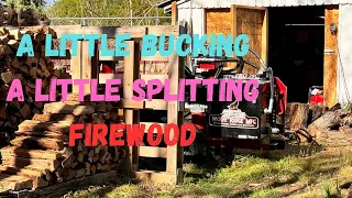 Making Some Firewood!!! Bucking & Splitting