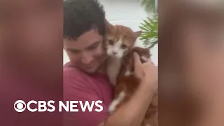 Man in Florida rescues cat from flood during Hurricane Ian