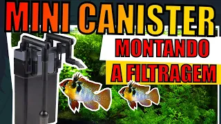 🔴COMO MONTAR FILTRAGEM NO MINI CANISTER PRA AQUÁRIOS.  |Mr. Betta|