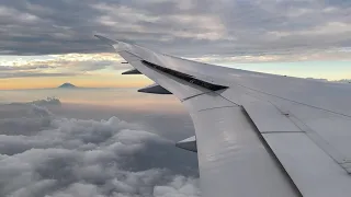 JAL BOEING 787-8 JA846J: Landing at Tokyo Japan(HND/RJTT)