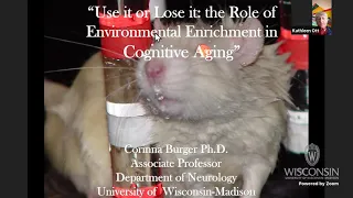 Use it of Lose it: the Role of Environmental Enrichment in Cognitive Aging; Corinna Burger; 2/24/21