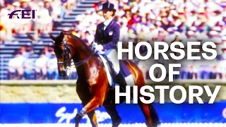 Anky van Grunsven's Bonfire - Horses of History | FEI ICONS