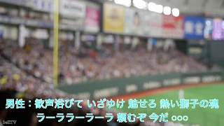 オールスターゲーム2019第1戦 埼玉西武ライオンズ チャンステーマ4 東京ドーム