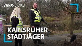 Wildtiere in der Großstadt - Die Karlsruher Stadtjäger | SWR Doku