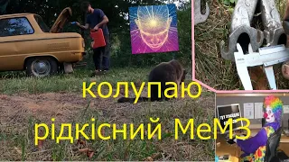 Пробую запустити мотор. Мертві бджоли не гудуть?..