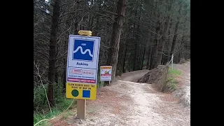 Christchurch Adventure Park. 27/8/22. New Askins Trail.