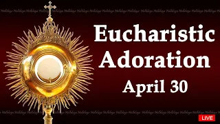 Powerful Eucharistic Adoration I Tuesday April 30 2024 I 3.00 Pm