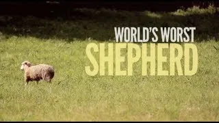 World's Worst Shepherd gives a lesson about sheep