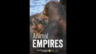 Животные империи / Animal Empires Серия 6 Одичавшие / Gone Wild