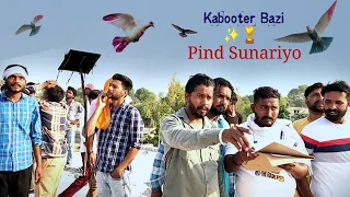 Tournament // Pind Sunariyo Haryana  // Kabootar Bazi Panjabi Song Video//Kabootar// Babbu mann //