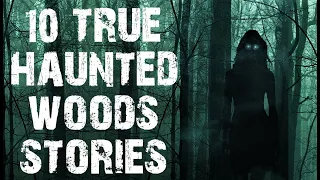 10 TRUE Disturbing & Terrifying Haunted Woods Scary Stories | Horror Stories To Fall Asleep To