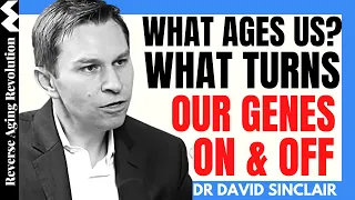 WHAT AGES  US?  What turns Our GENES ON & OFF? | Dr David Sinclair Interview Clips