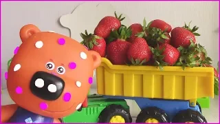 The bear and strawberries? Cartoon with toys  Be-Be-bears