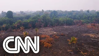 Autos de infração do Ibama e ICMBio caem 30% no governo Bolsonaro | CNN PRIME TIME