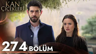 Kan Çiçekleri 274. Bölüm