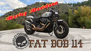 Fat Bob 114 2020: lo mejor de Harley Davidson