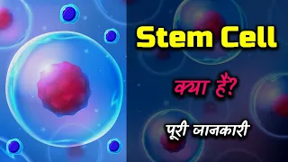 What is Stem Cell With Full Information? – [Hindi] – Quick Support