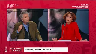 Gilles-William Goldnadel : "Je suis opposé à l'immigration illégale et invasive !"