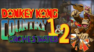 DONKEY KONG COUNTRY 1&2 ORCHESTRATED (30 Tracks)