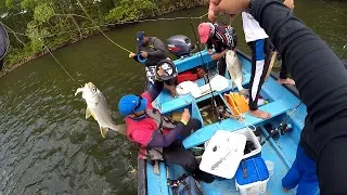 Over 100 FISH CAUGHT...NONE Over One Pound - Struggles of SNAPPER Fishing in Trinidad